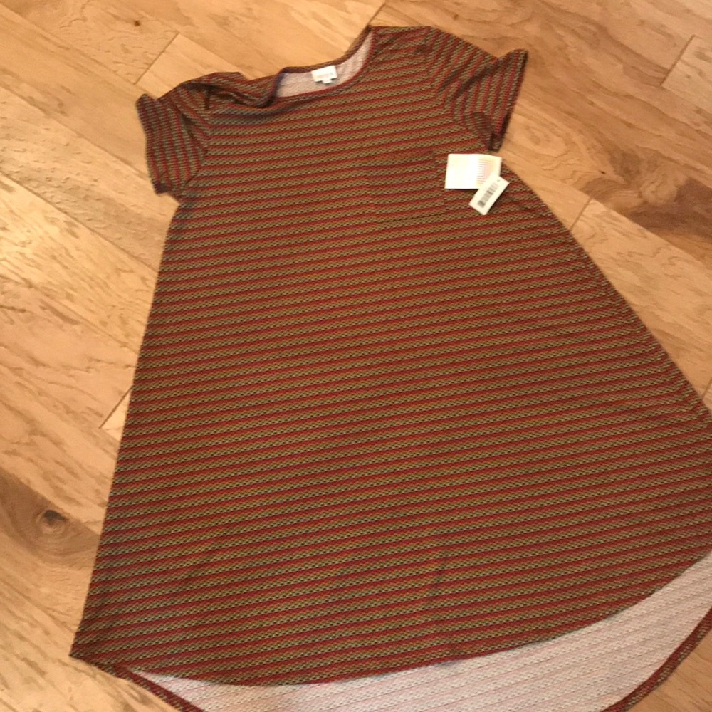 2XL Multi Colored LuLaRoe Carly Dress